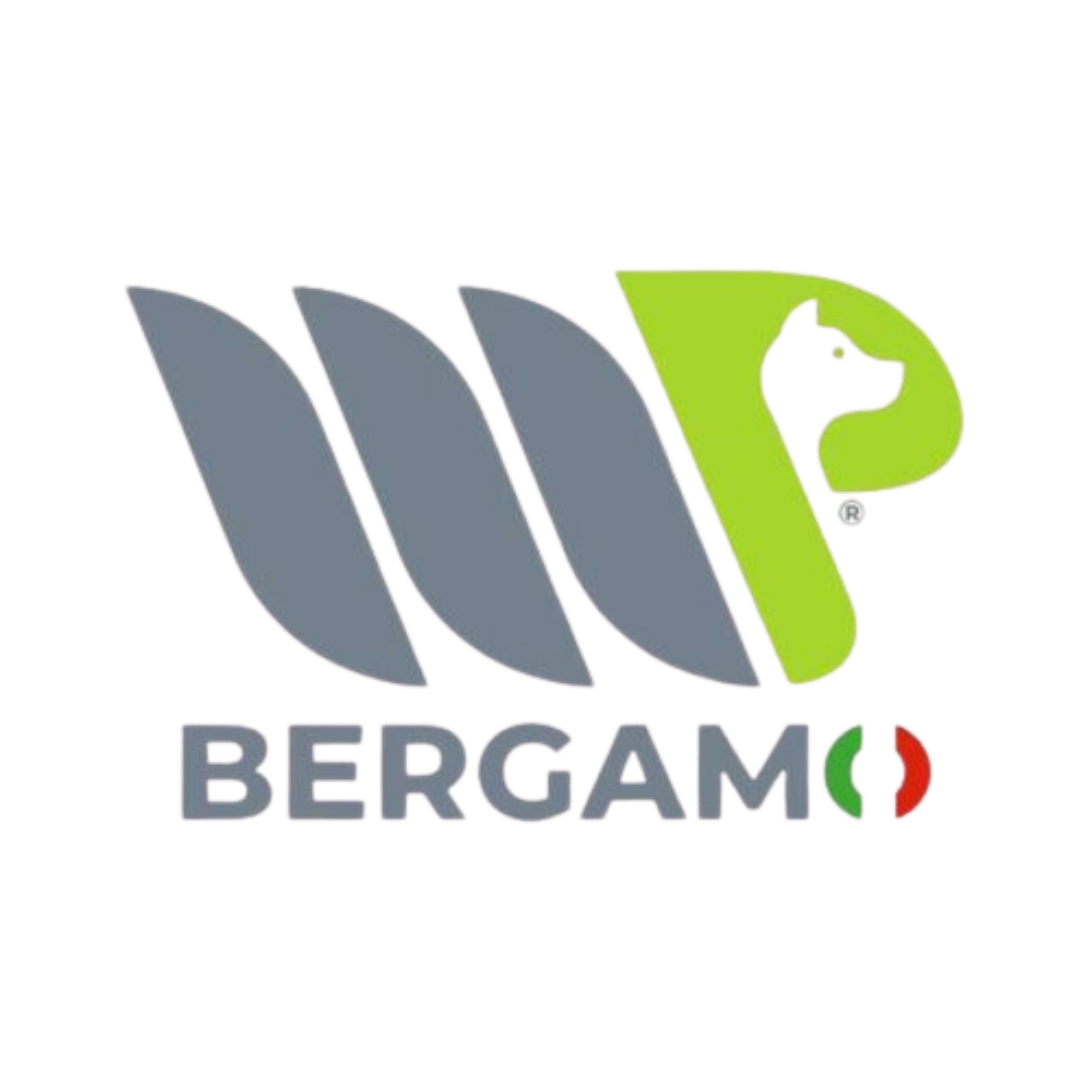 MP Bergamo