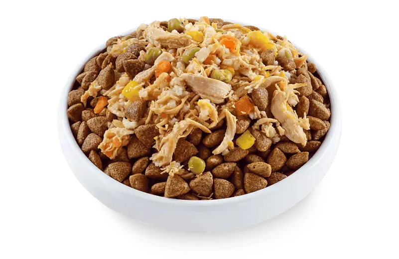 Applaws Chicken Veg & Rice Dog Tin 156g
