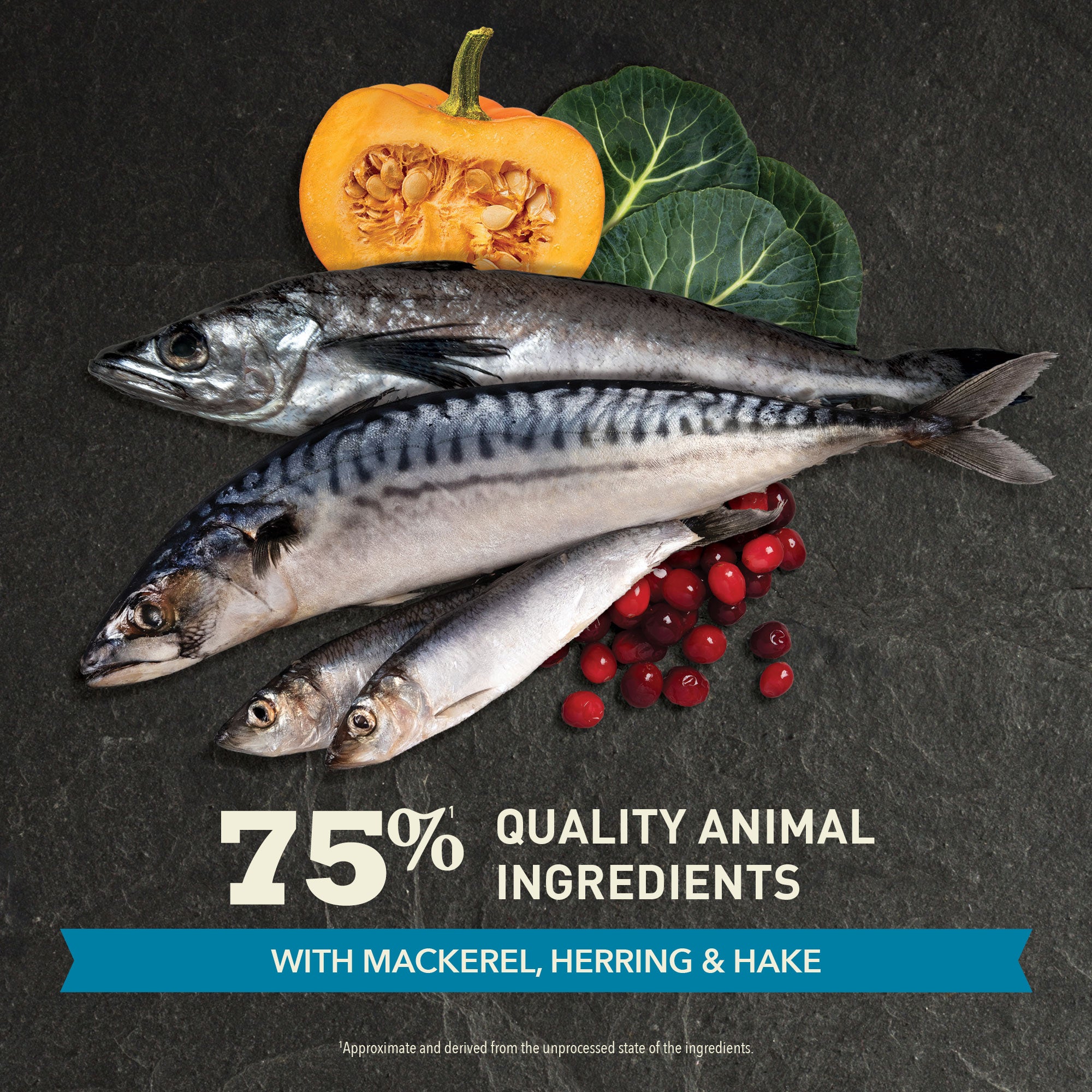 Wild-caught mackerel, herring and hake with pumpkin, leafy greens and cranberries for ACANA Pacifica cat food.