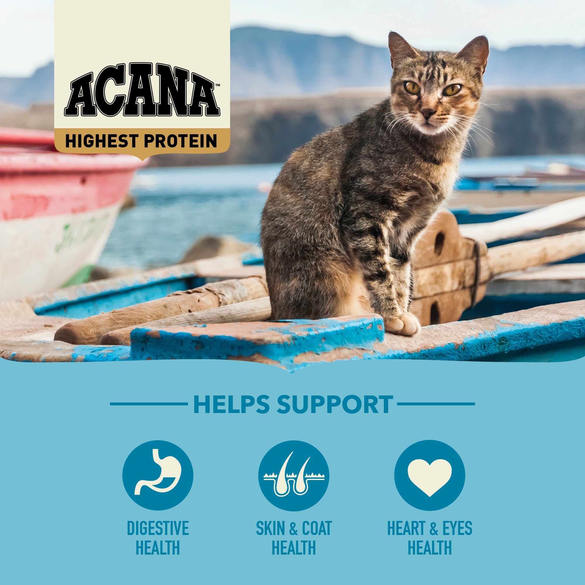 ACANA Pacifica key benefits graphic showing digestive health, skin and coat health and heart and eye support.
