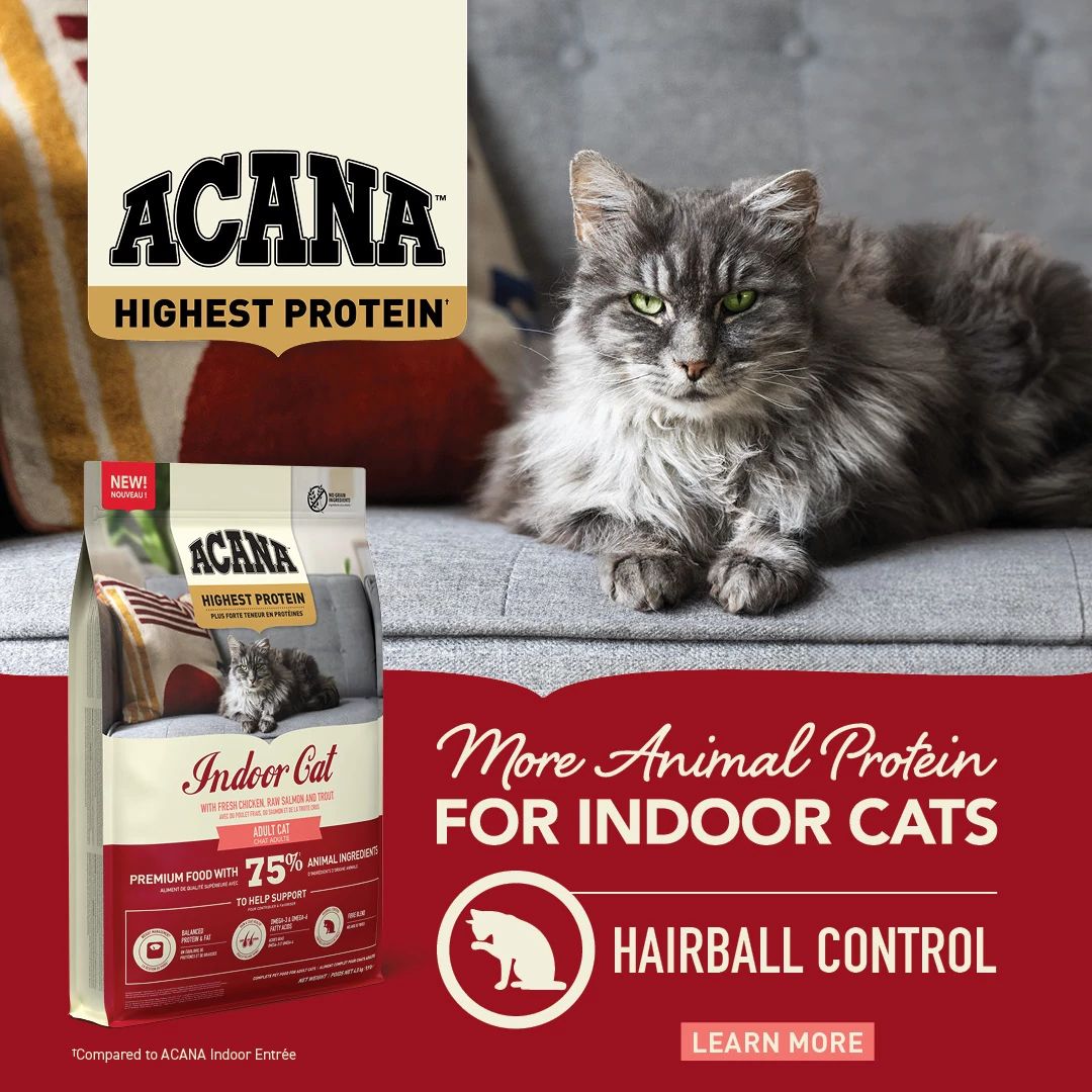 ACANA Indoor Cat key benefits: weight management, skin and coat health and hairball control.