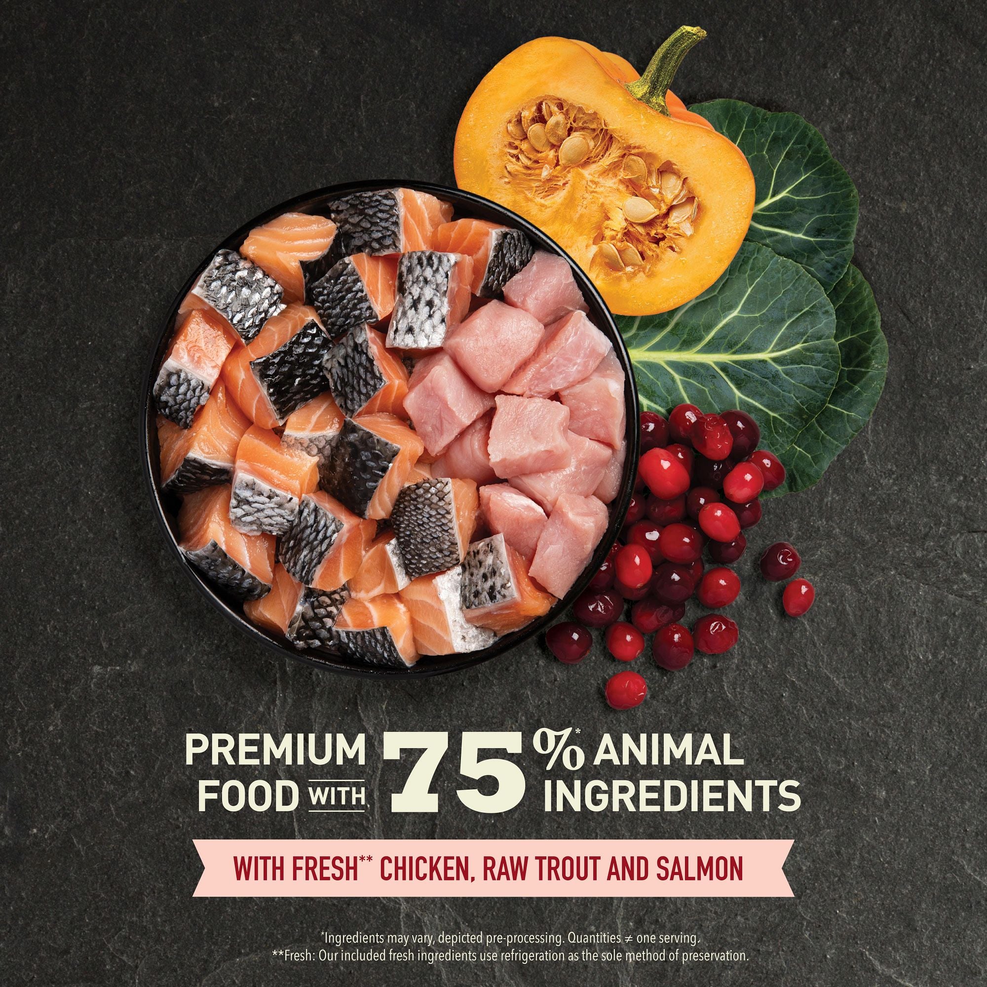 Fresh chicken, raw salmon, raw trout with pumpkin, leafy greens and cranberries for ACANA Indoor Cat recipe.