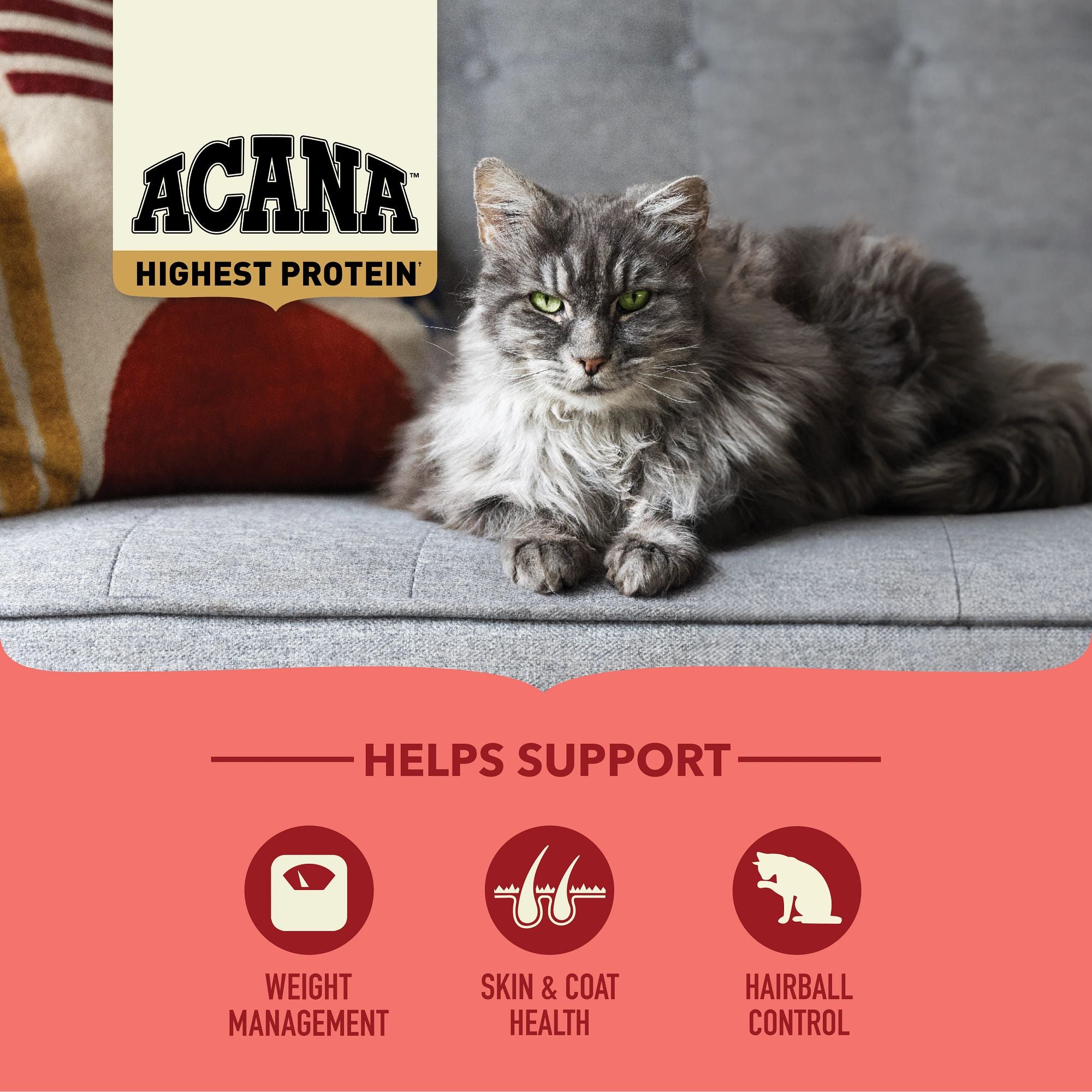 ACANA Indoor Cat promotional graphic showing higher animal protein and hairball control benefits for indoor cats.