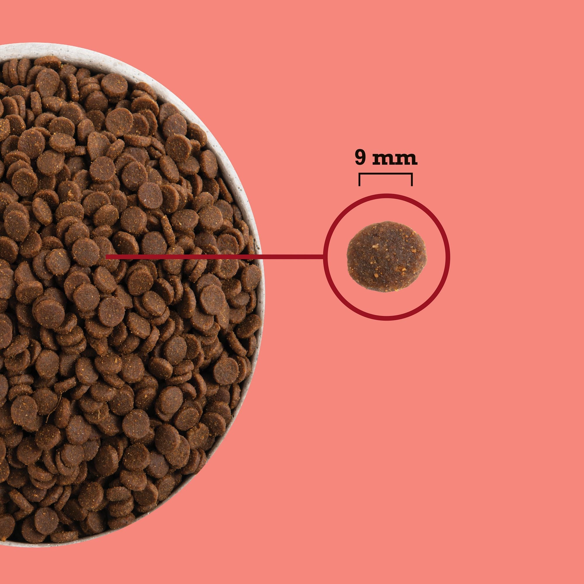 ACANA Indoor Cat kibble size image showing 9 mm round kibble pieces for adult indoor cats.