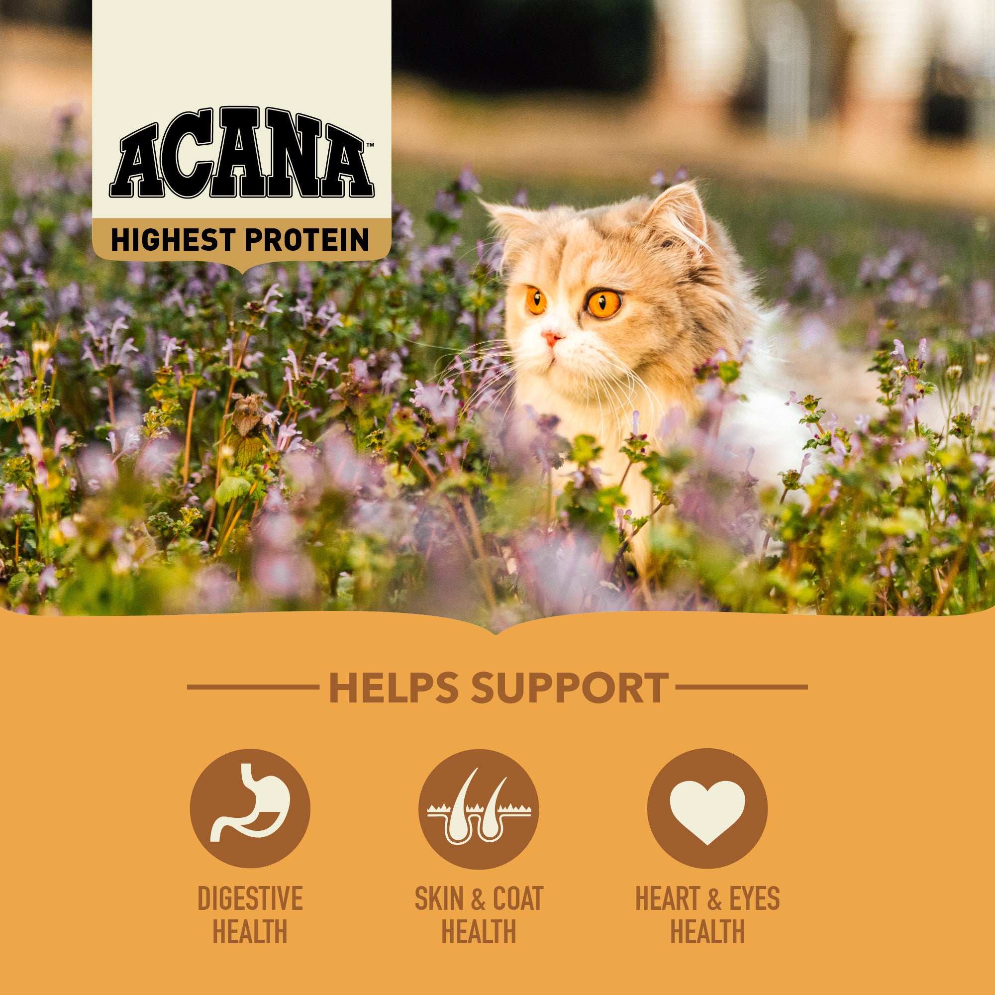 ACANA Wild Prairie cat values