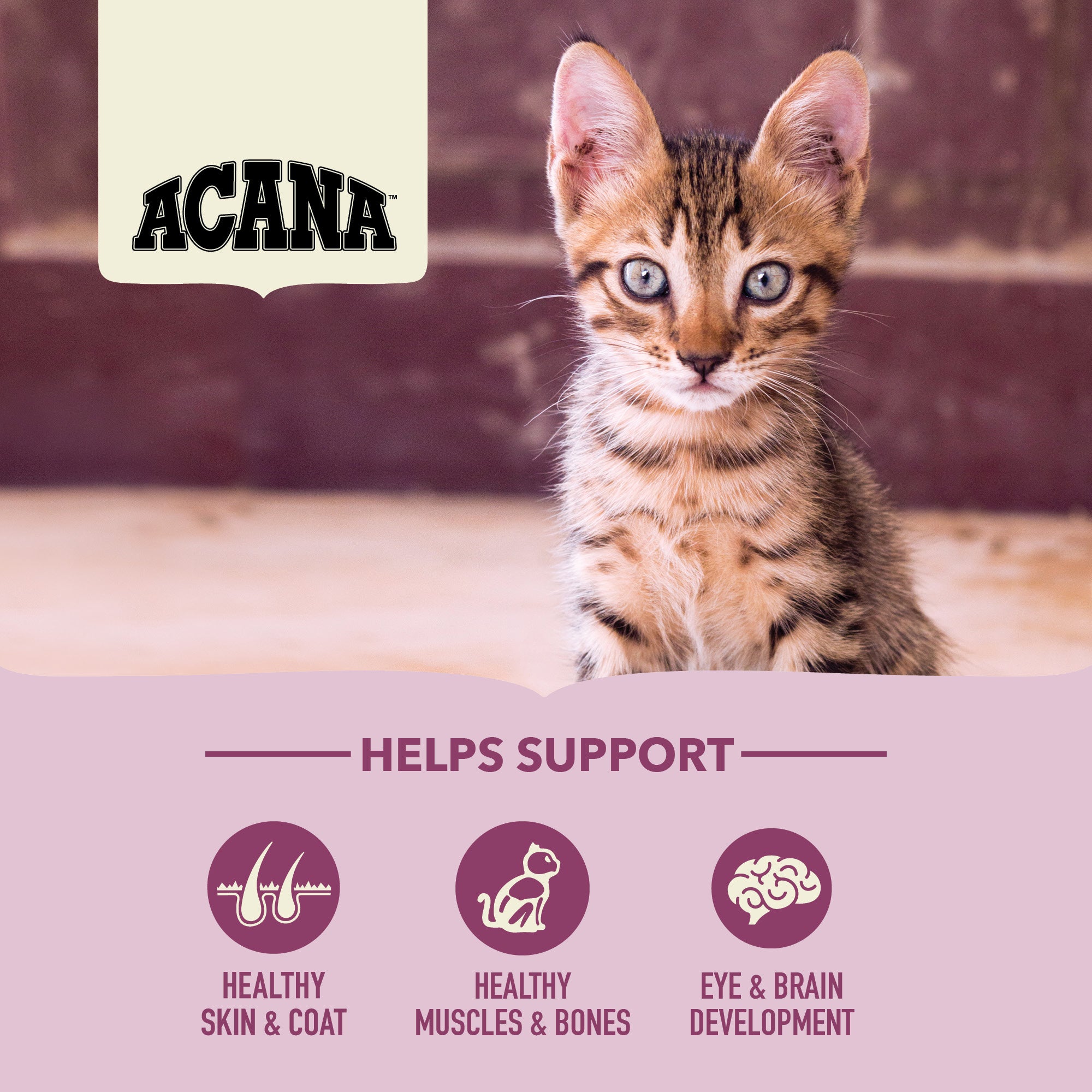 ACANA Kitten First Feast benefits graphic showing healthy skin and coat, strong muscles and bones, and brain development