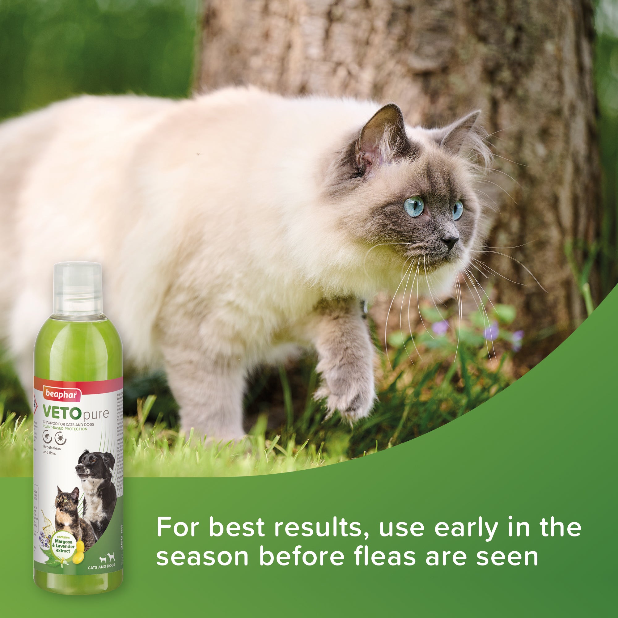 Beaphar BIO Shampoo for Dogs & Cats 250ML how to use 2