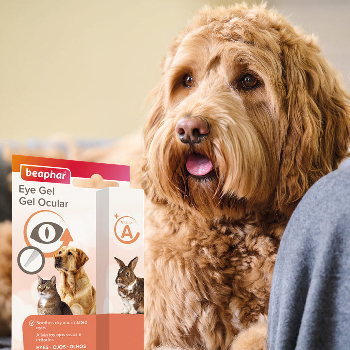 Beaphar Eye Gel Cats & Dogs 5ml dog