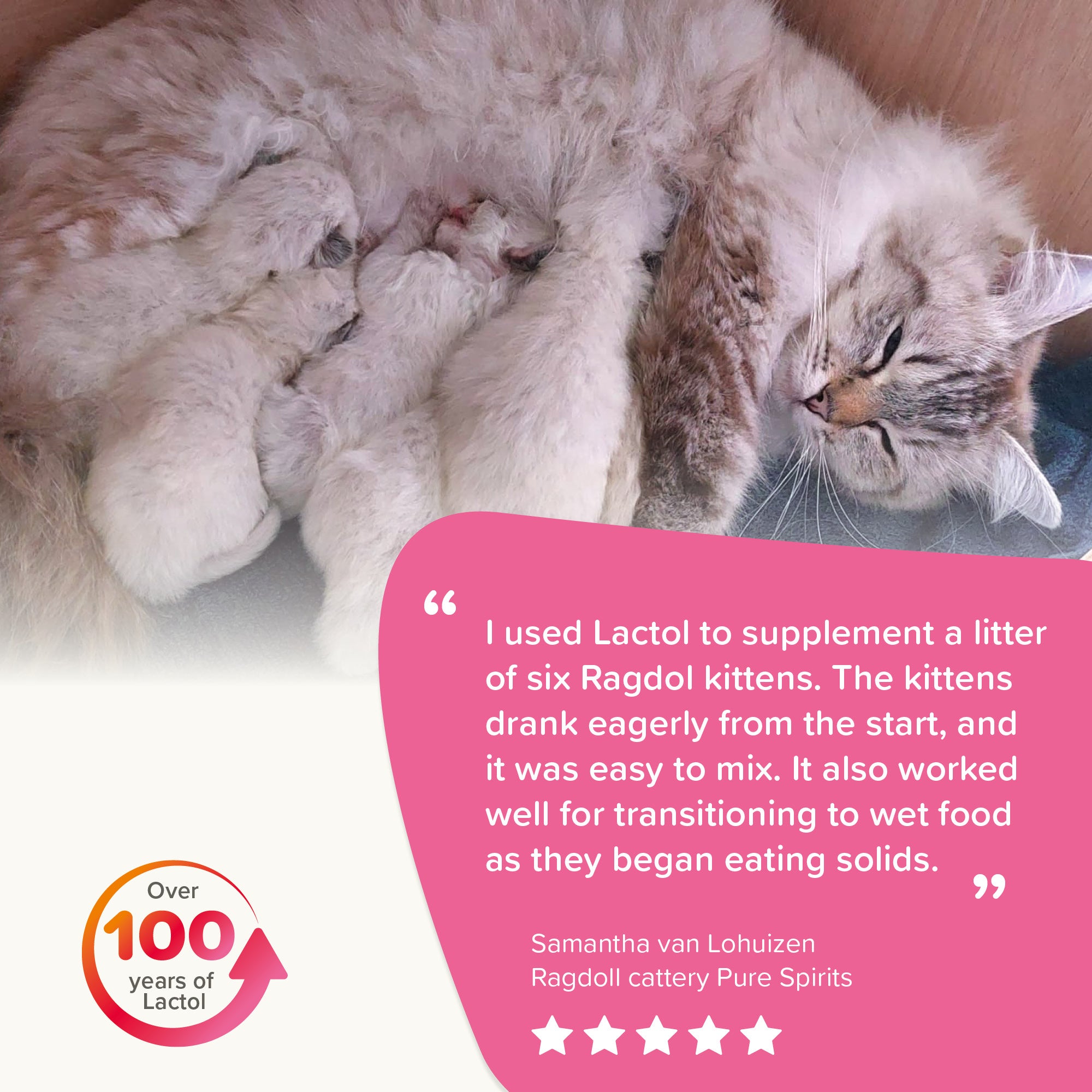 Beaphar Lactol Kitten Milk Replacer tin feedback