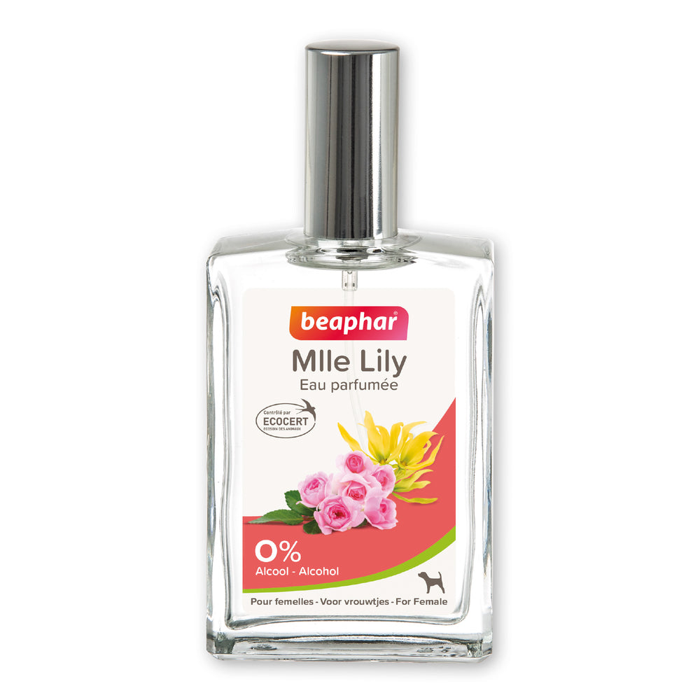Beaphar Parfum Lily for Female Dogs – Gentle Floral Fragrance 50ml