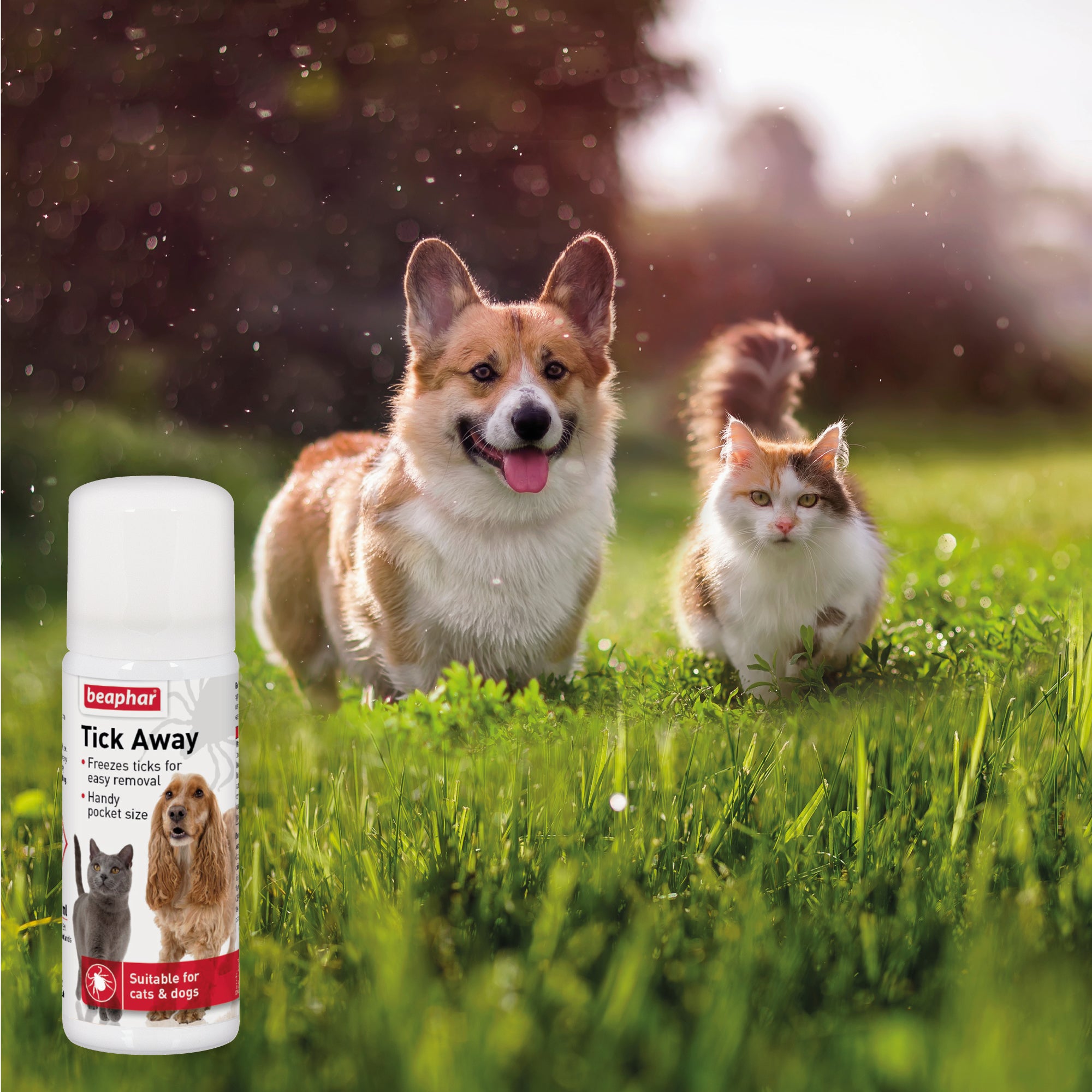 Beaphar Tick Away Freezing Spray for Dogs & Cats lifestyle