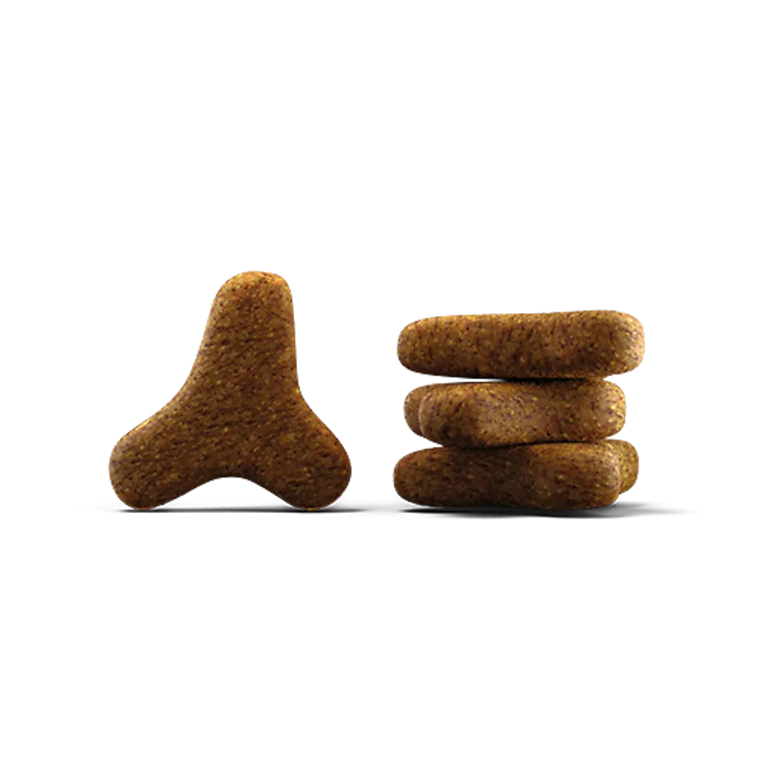 جوسيرا يوريناري للقطط