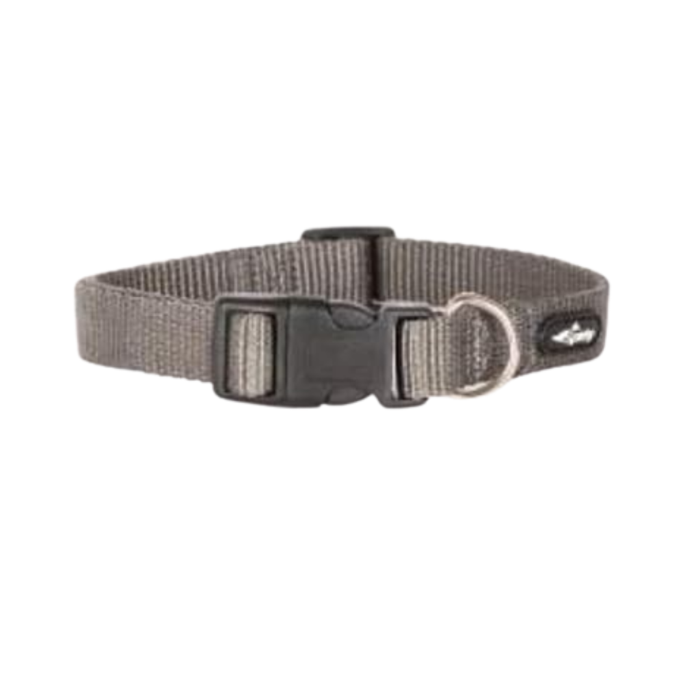 fop collar spidy