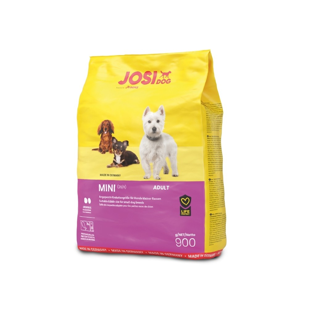 جوسي دوغ ميني