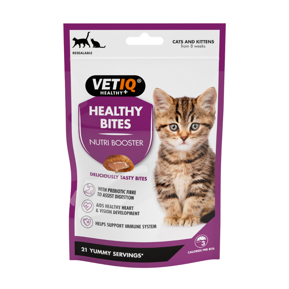 مارك اند شابل مكافأتصحية داعمة بنكهةالسلمون للقططالSmallة 65غ