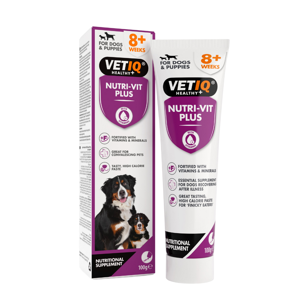 مارك اند شابل معجون غني بالفيتامين للكلاب 100غ