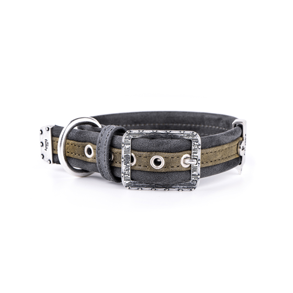 ماي فاميلي لندن طوقجلد أخضر