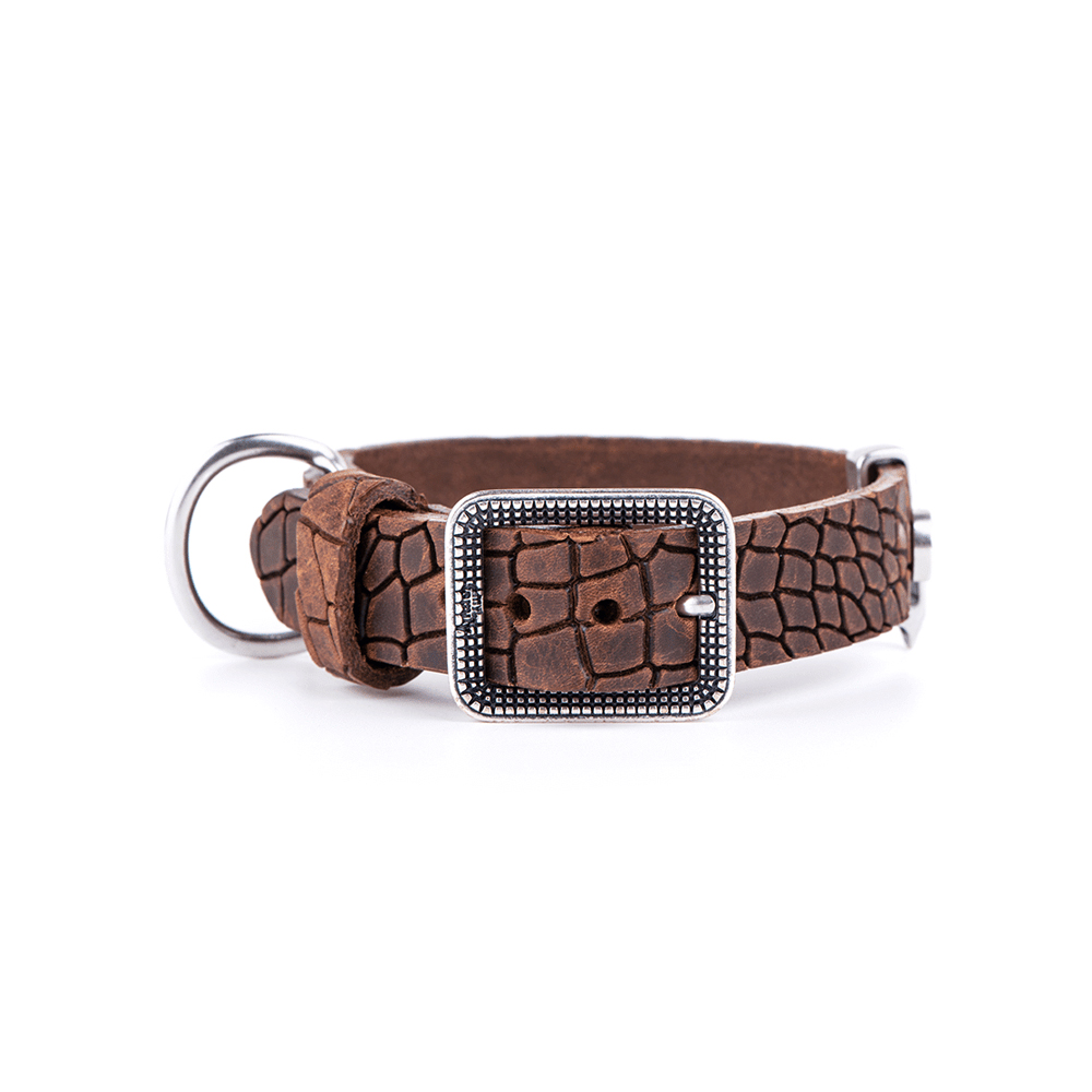 My Family TUCSON Collar LEATHER Brown 64x4cm