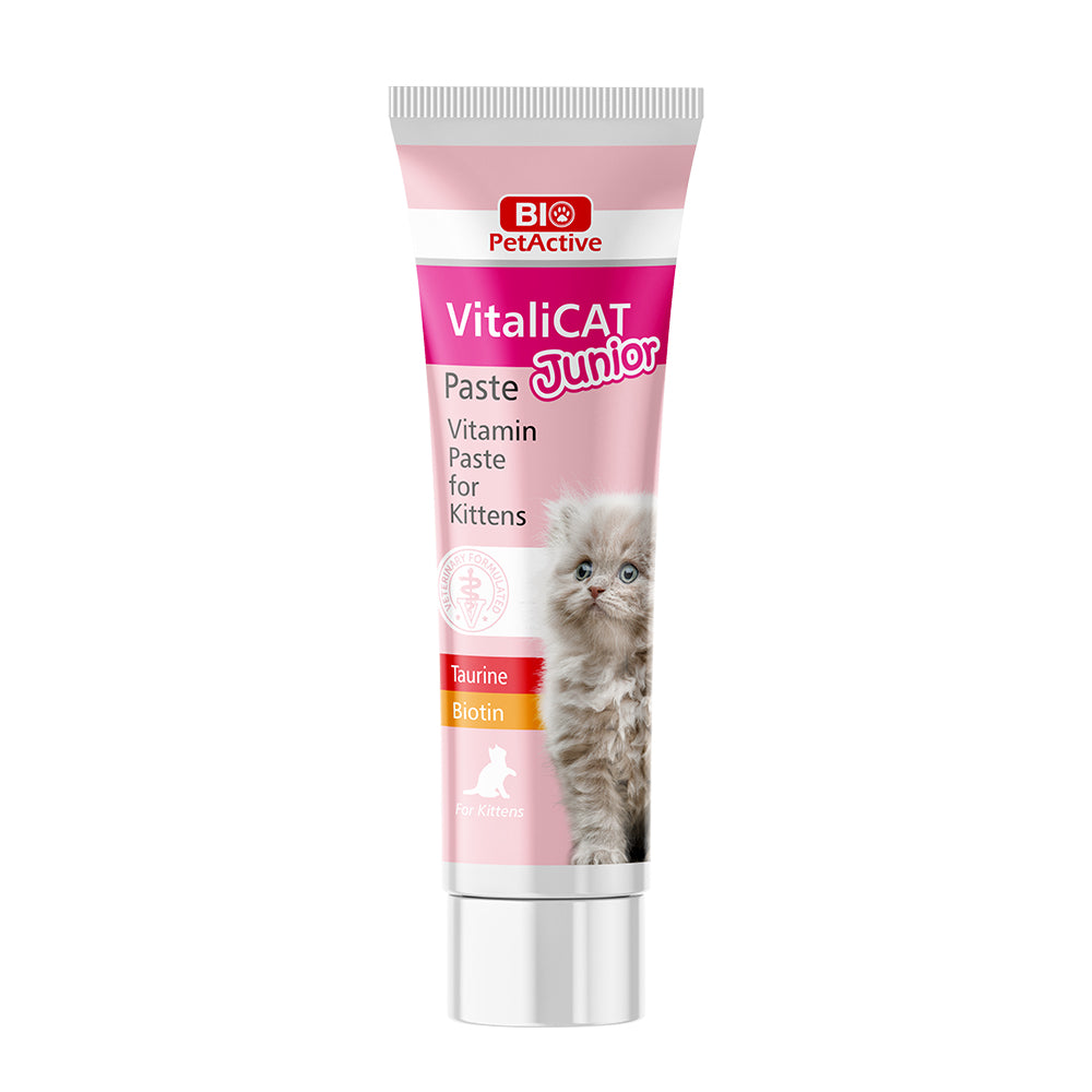 bio petactive vitalicat junior multivitamin paste for kittens