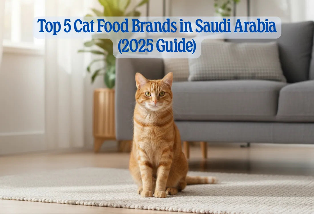 Top 5 Cat Food Brands in Saudi Arabia (2025 Guide)