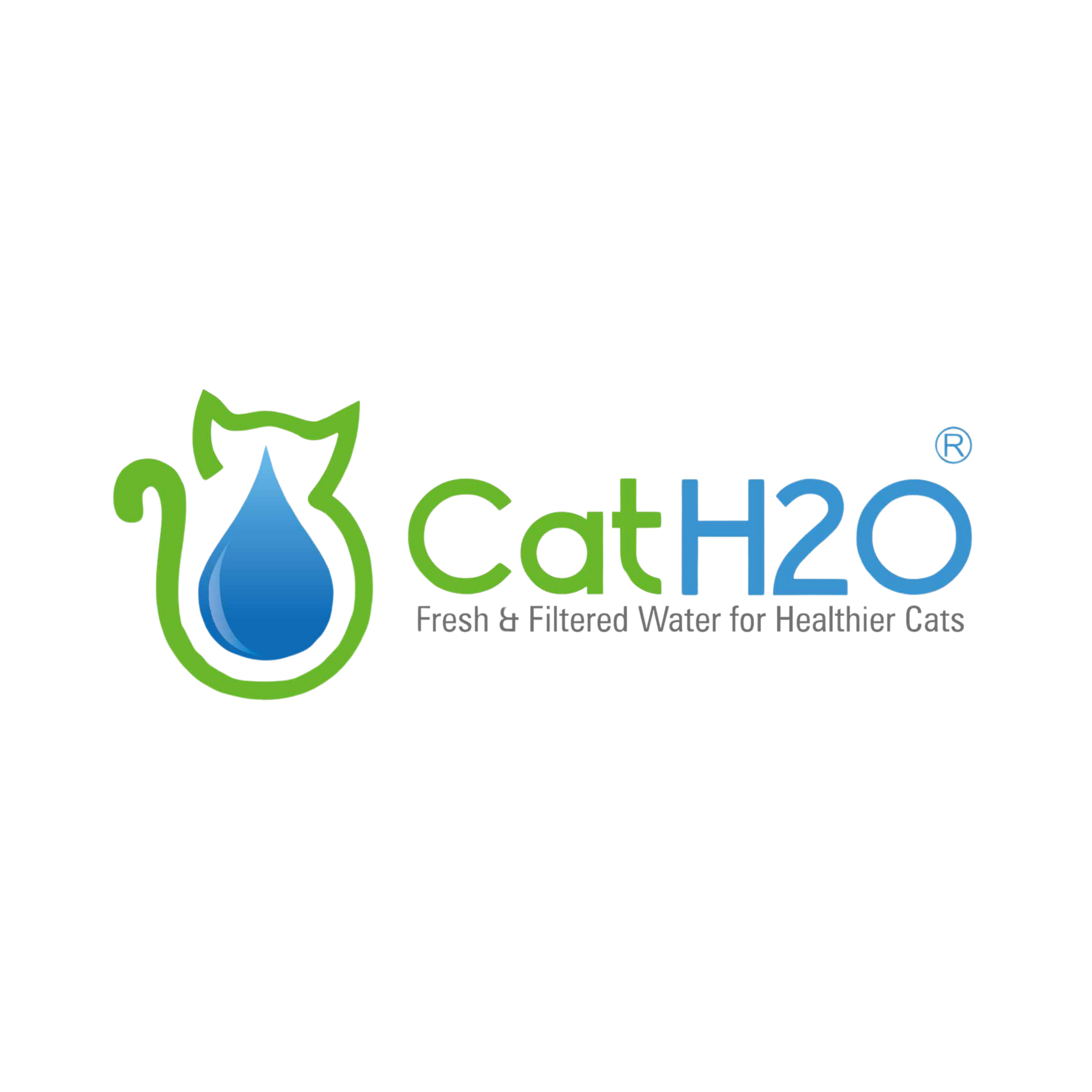 H2O