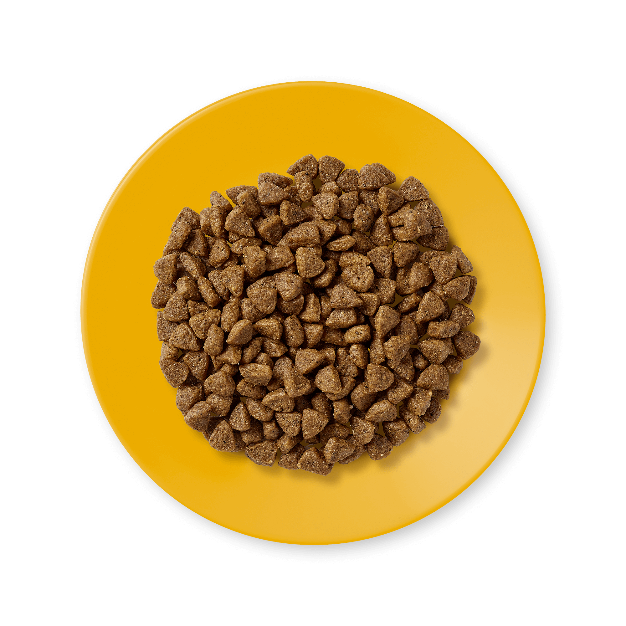Applaws Chicken Kitten Dry Food