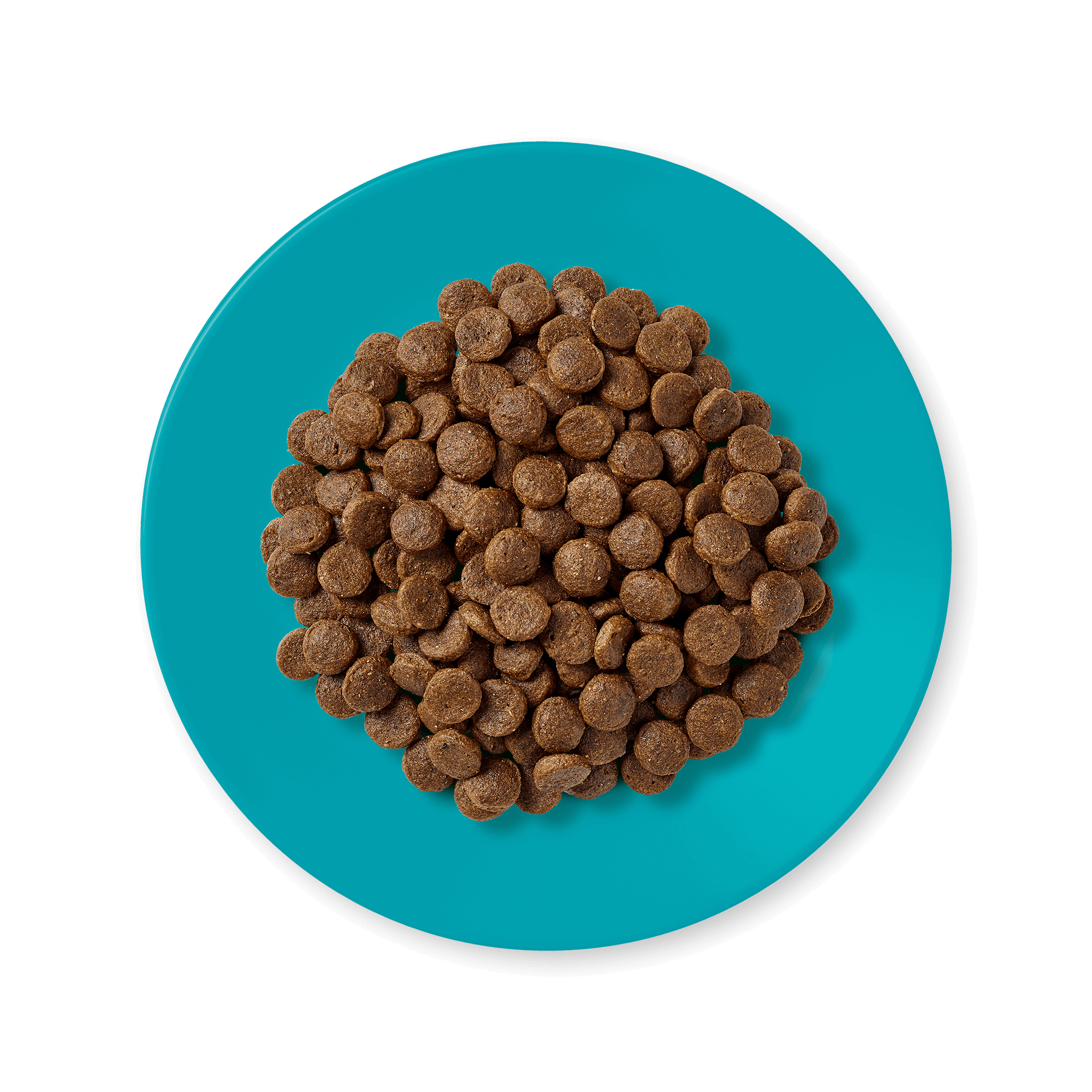 Applaws Sterilised Fish & Salmon Dry Cat Food