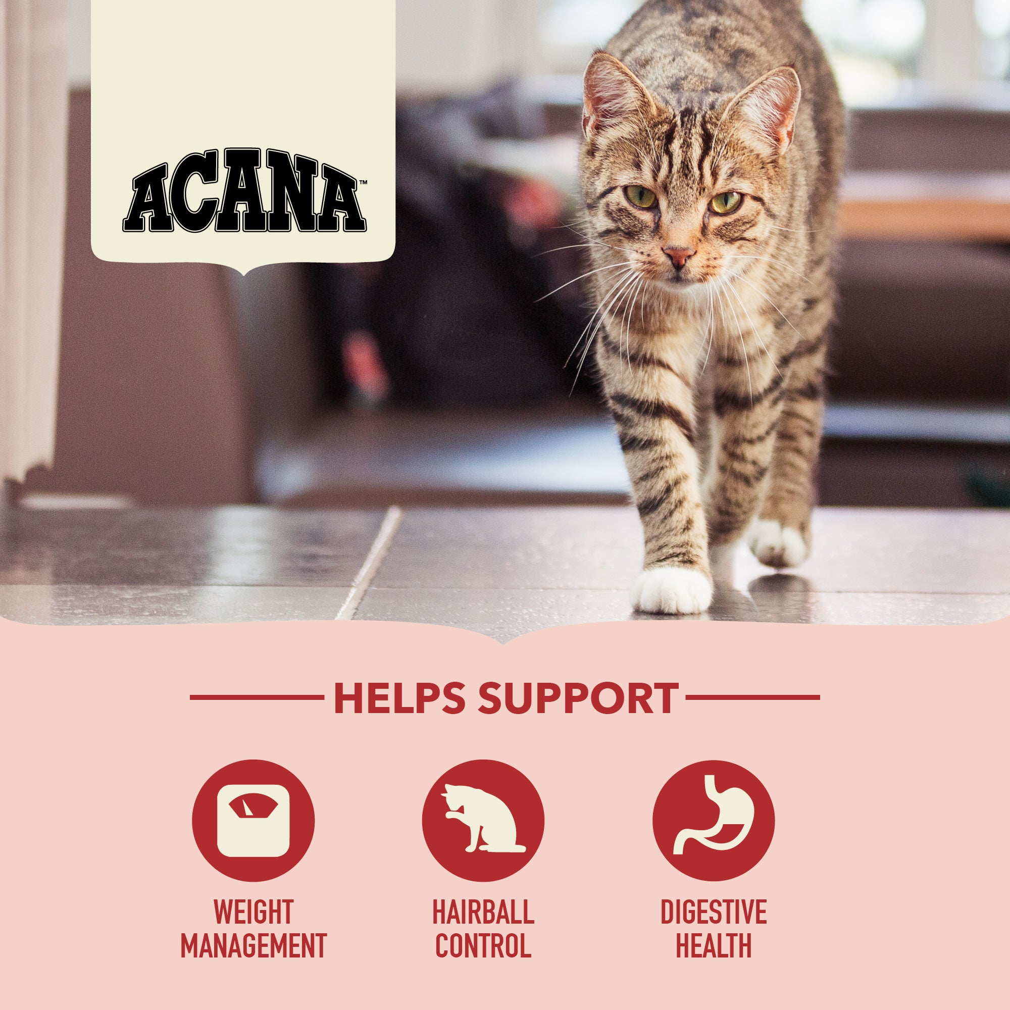 ACANA Indoor Entrée features graphic showing weight management, hairball control and digestive health benefits.