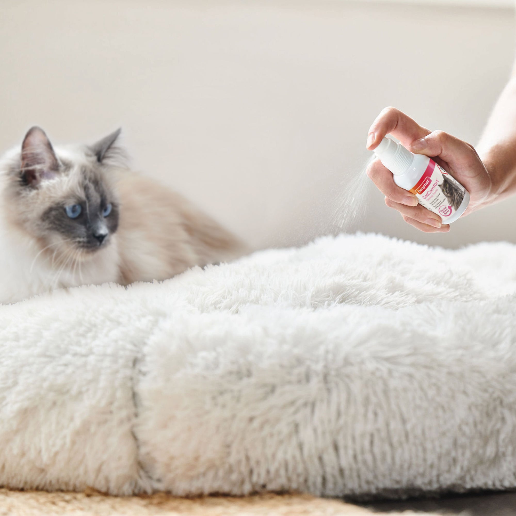 Beaphar CatComfort Calming Spray bottle for cats lifestyle