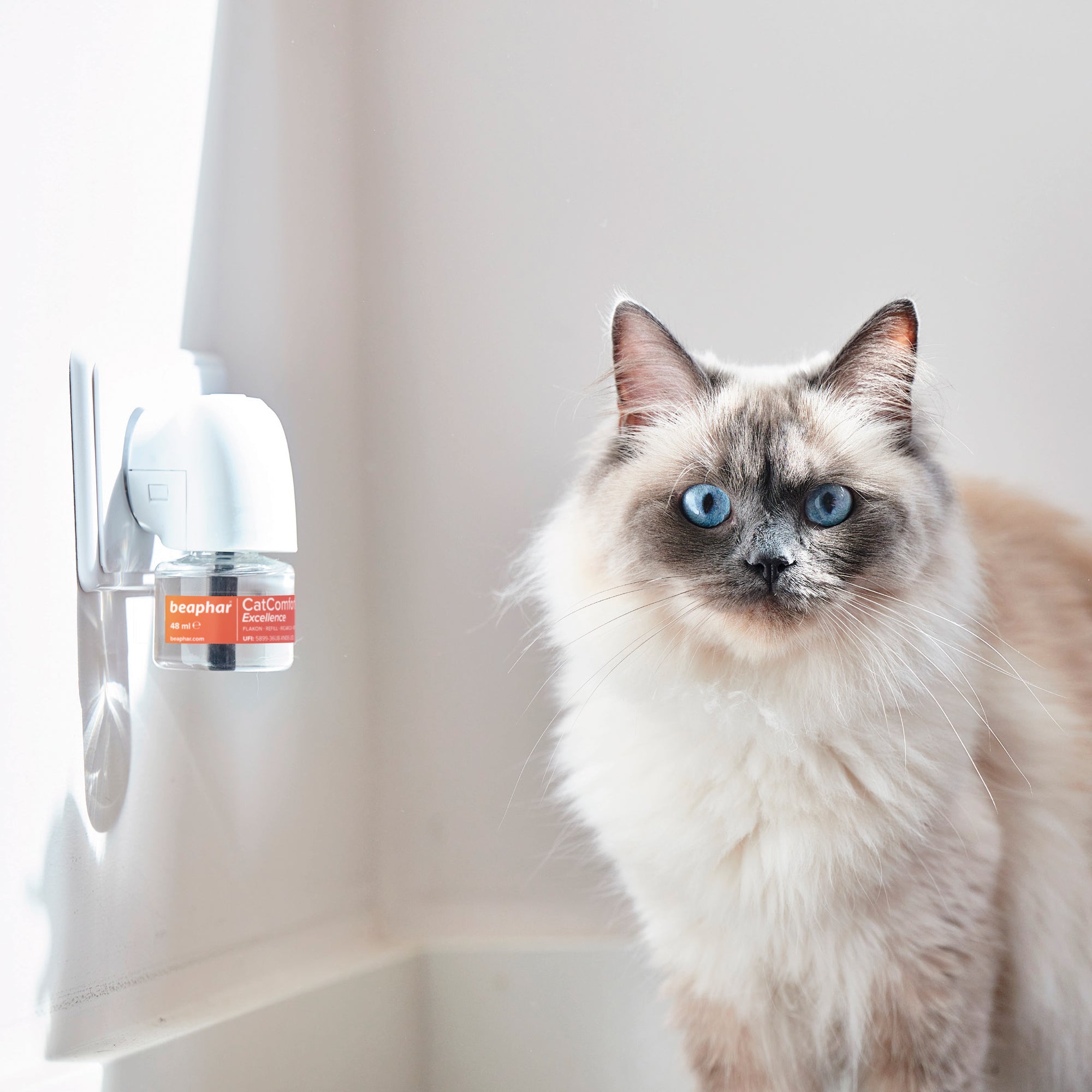 Beaphar CatComfort Excellence Calming Diffuser lifestyle