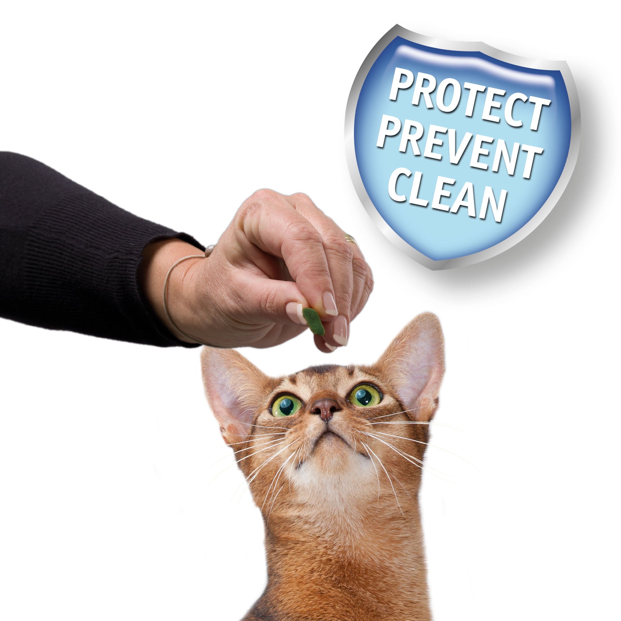 Beaphar Dental Easy Treat for Cats – Oral Care & Fresh Breath lifestyle
