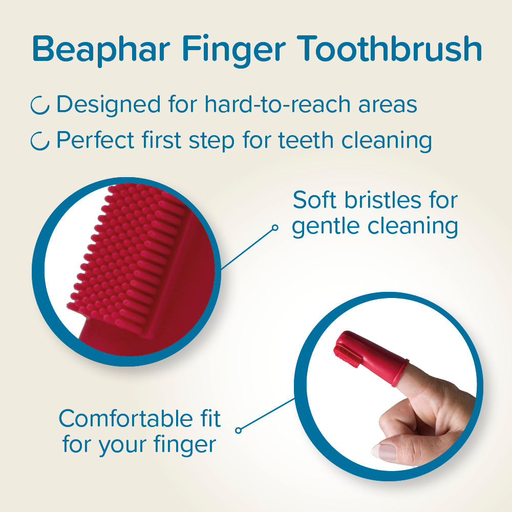 Beaphar Finger Toothbrush for Dogs & Cats (silicone) how to use
