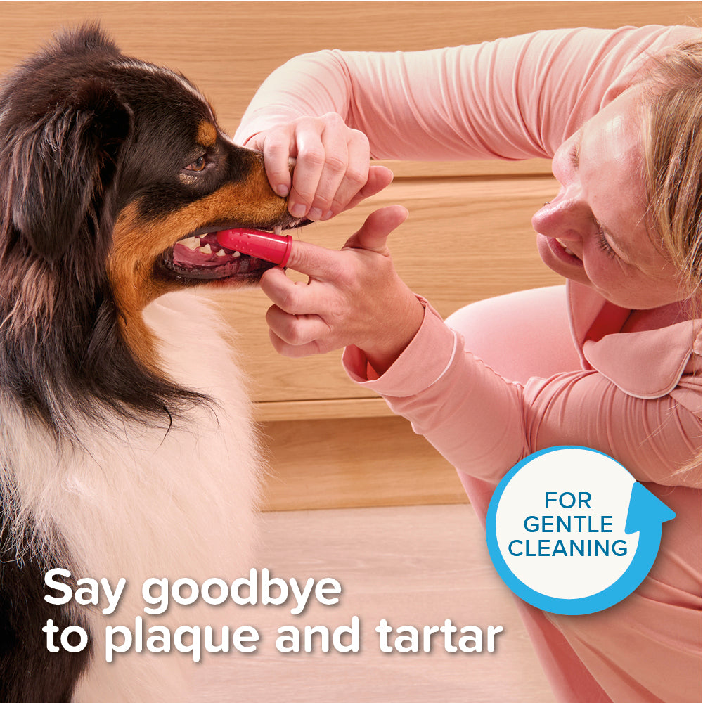 Beaphar Finger Toothbrush for Dogs & Cats (silicone) lifestyle