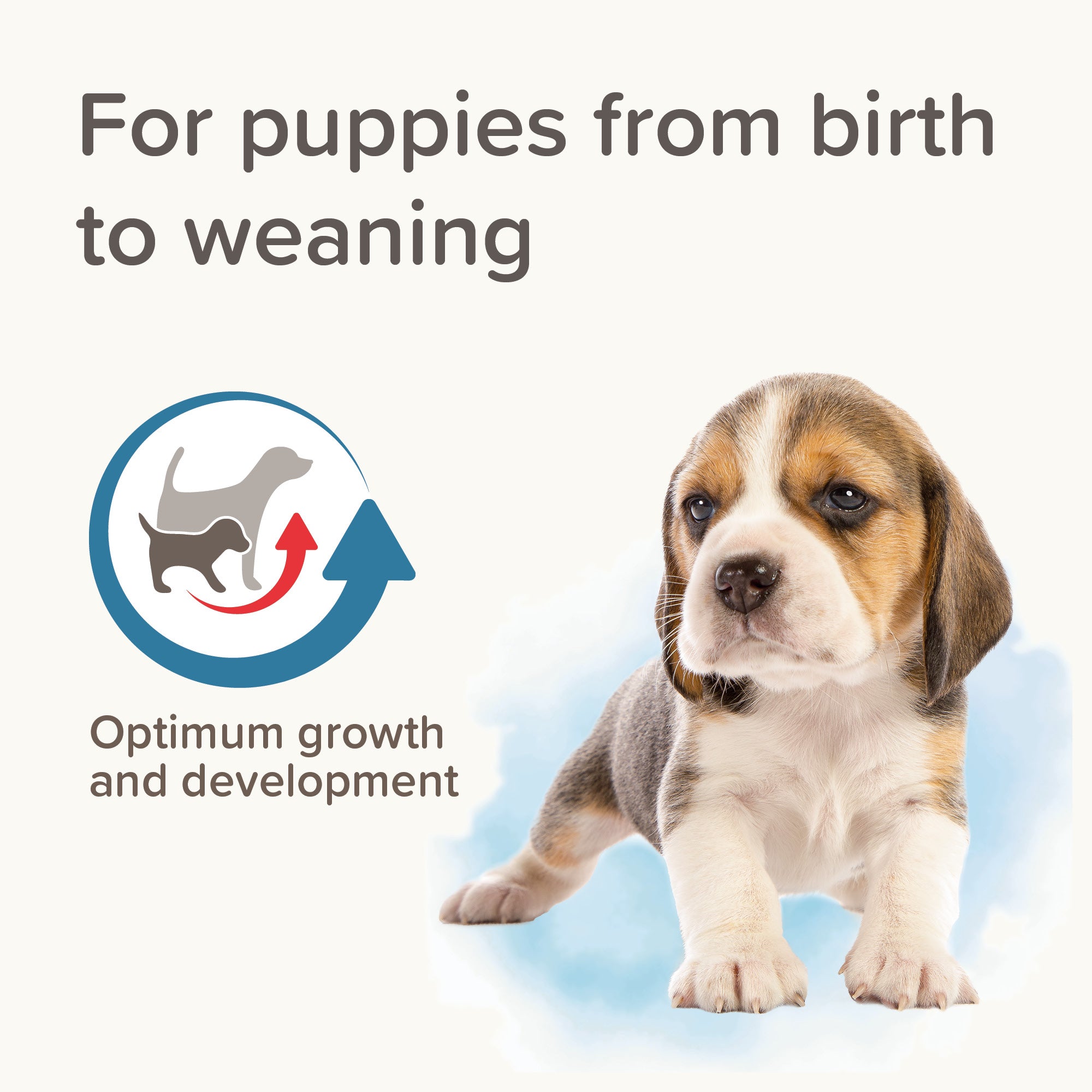 Beaphar Lactol Puppy Milk 250g – Complete Nutrition for Puppies features