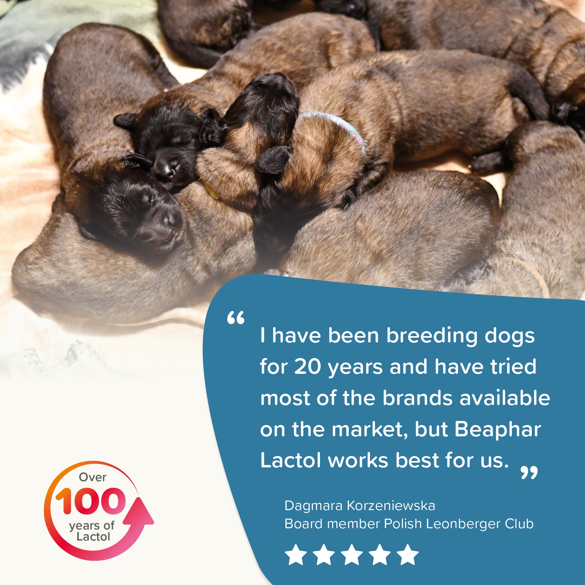 Beaphar Lactol Puppy Milk 250g – Complete Nutrition for Puppies rating