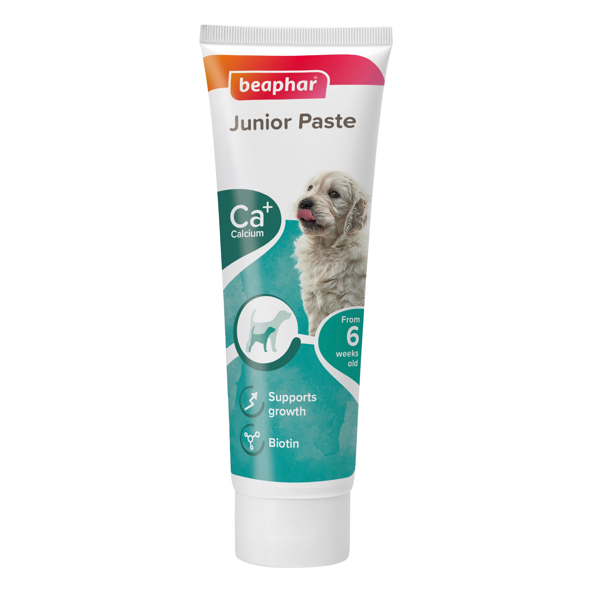 Beaphar Multi Vitamin Paste for Puppies – Growth & Energy Support 100g