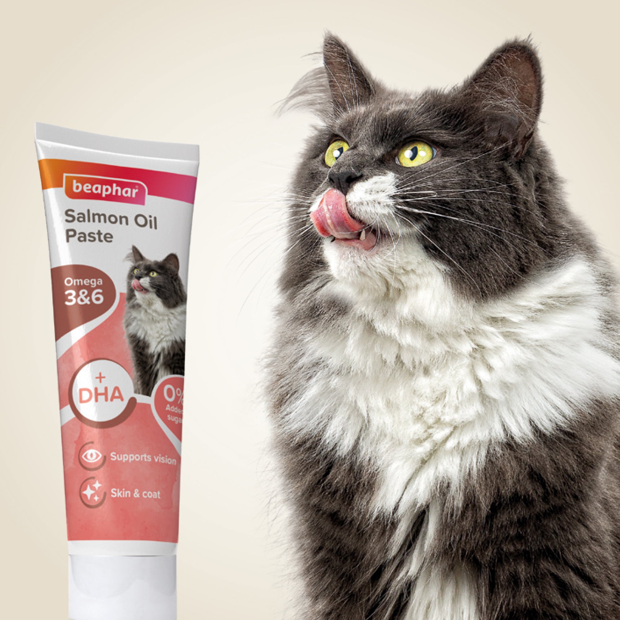 Beaphar Salmon Oil Paste for Cats 100g – Skin & Coat Support lifestyle