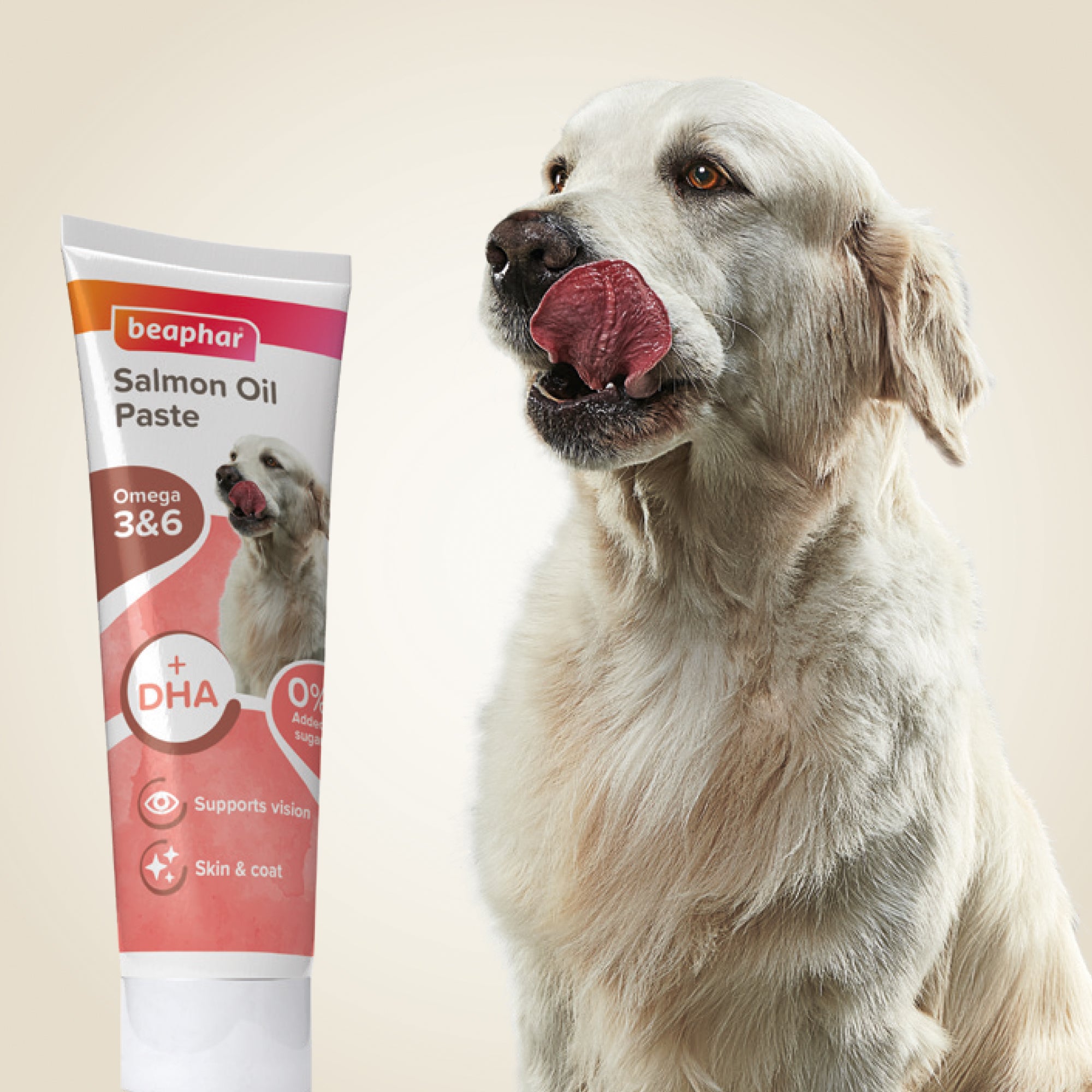 Beaphar Salmon Oil Paste for Dogs – Skin & Joint Support 100g lifestyle