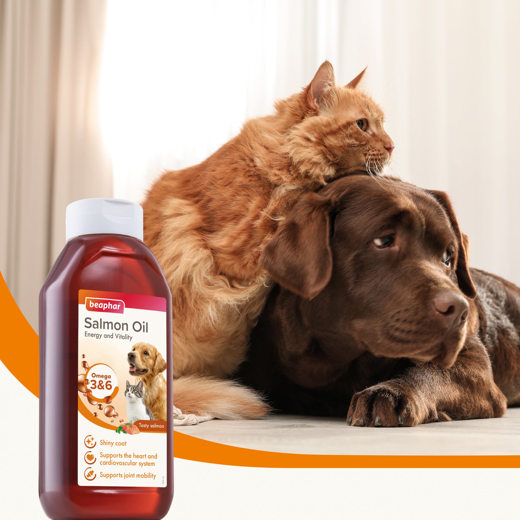 Beaphar Salmon Oil for Dogs & Cats – Omega-3 Skin & Coat Supplement lifestyle