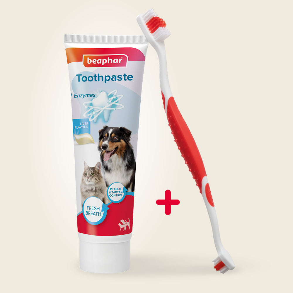 Beaphar Tooth Combipack for Dogs & Cats – Daily Dental Care with Toothbrush bundle