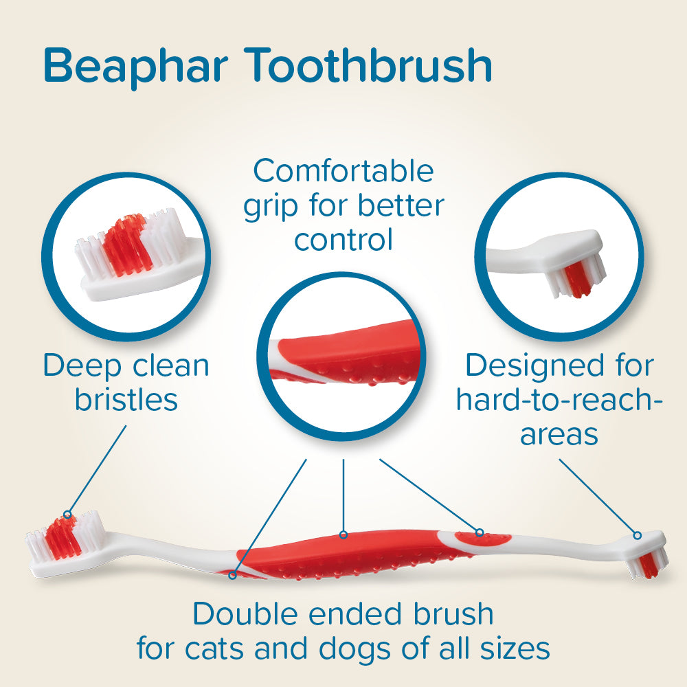 Beaphar Tooth Combipack for Dogs & Cats – Daily Dental Care with Toothbrush details