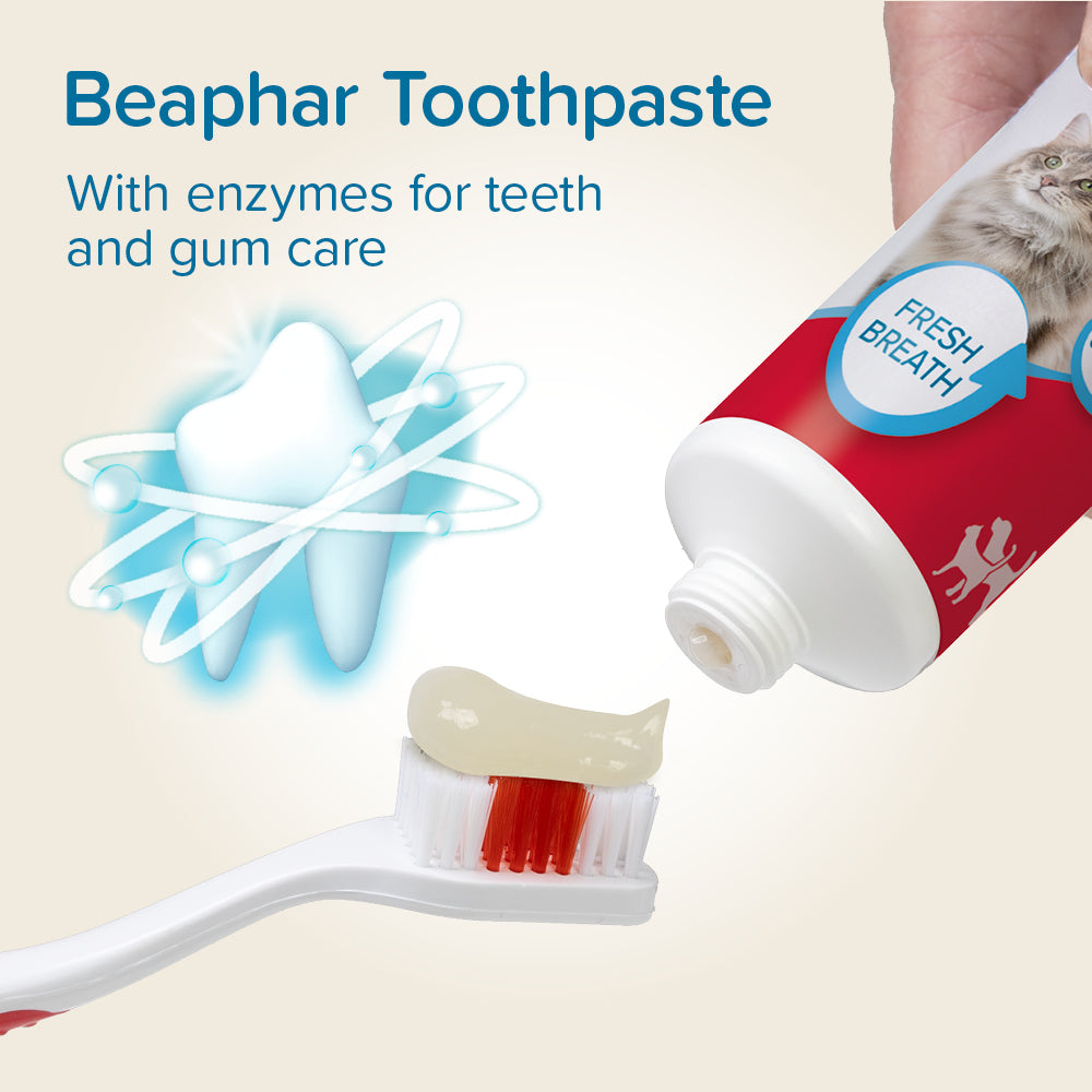 Beaphar Tooth Combipack for Dogs & Cats – Daily Dental Care with Toothbrush texture