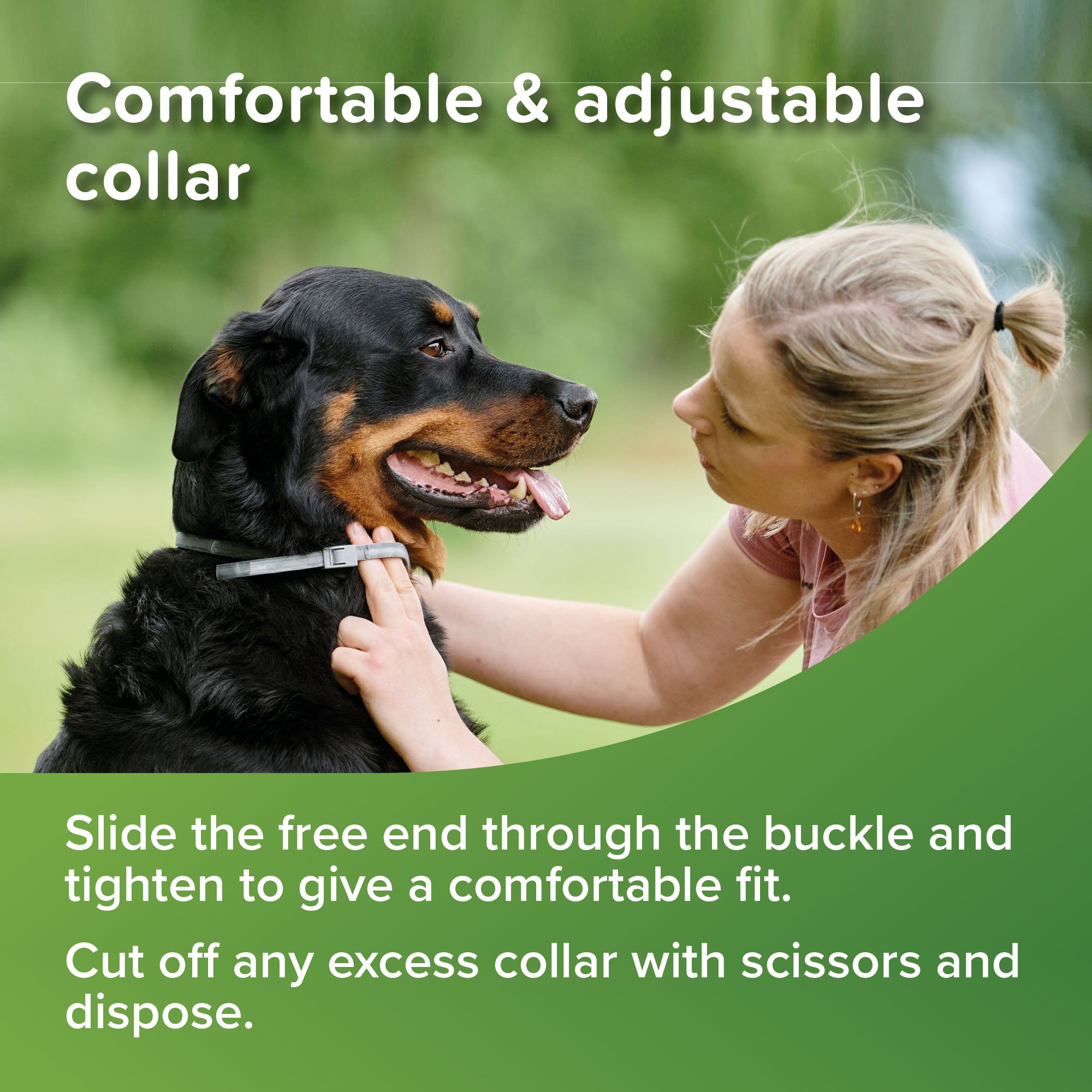 Beaphar VETOpure Flea & Tick Collar for Dogs 65 cm lifestyle