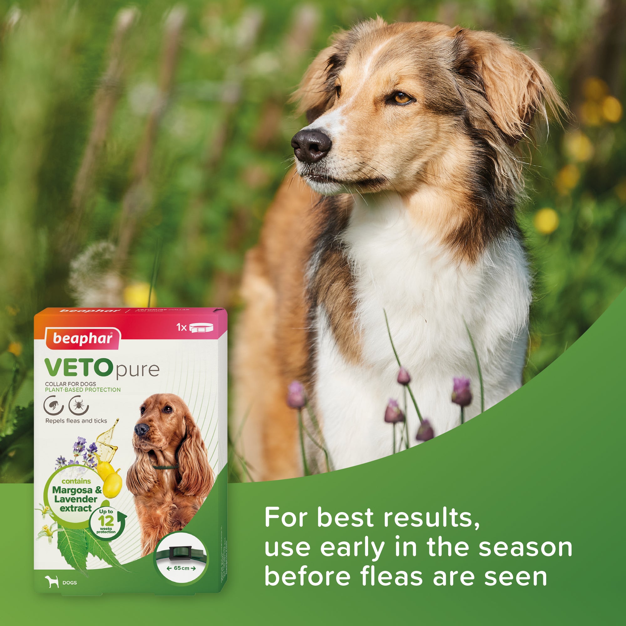 Beaphar VETOpure Flea & Tick Collar for Dogs 65 cm lifestyle 2