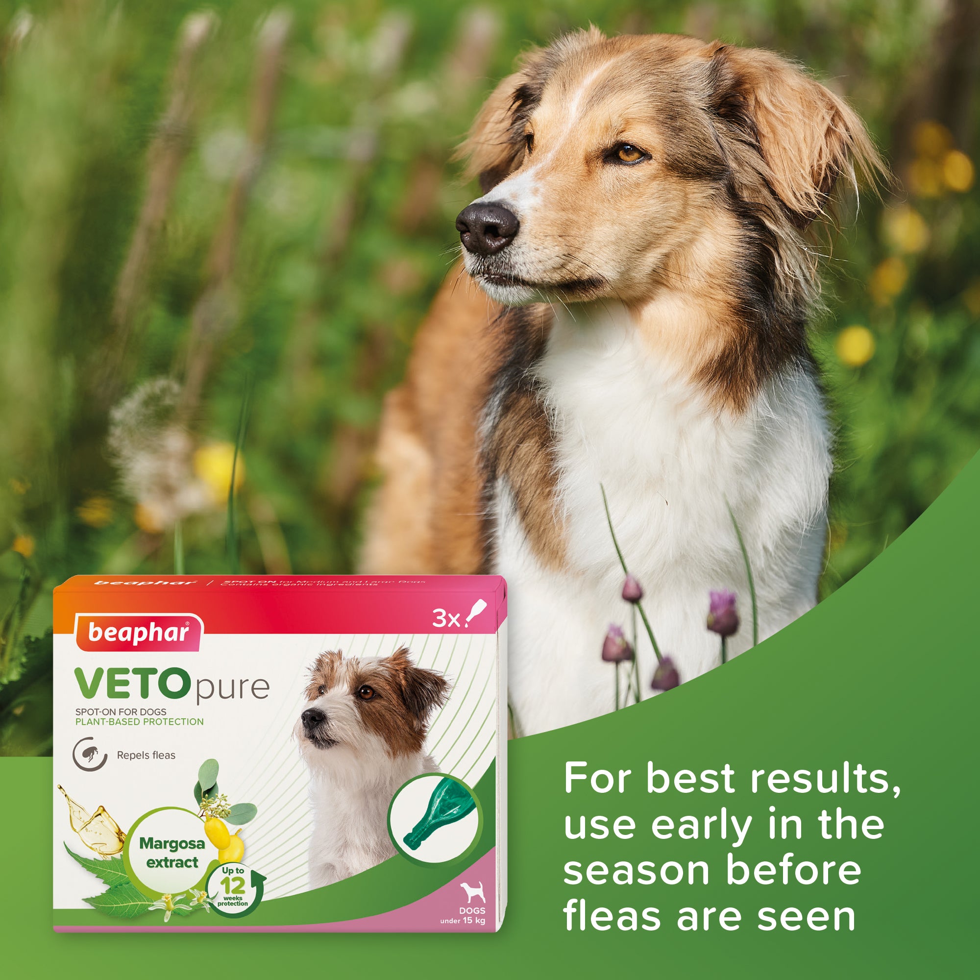 Beaphar VETOpure Spot-On for Small Dogs – Natural Flea & Tick Protection advice