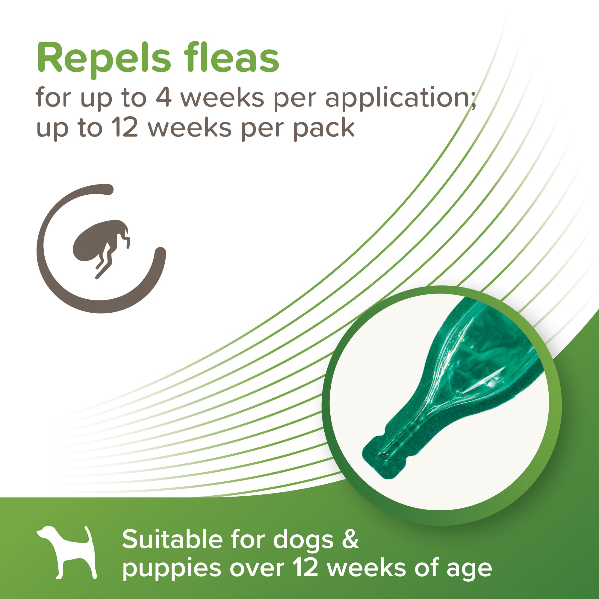 Beaphar VETOpure Spot-On for Small Dogs – Natural Flea & Tick Protection application