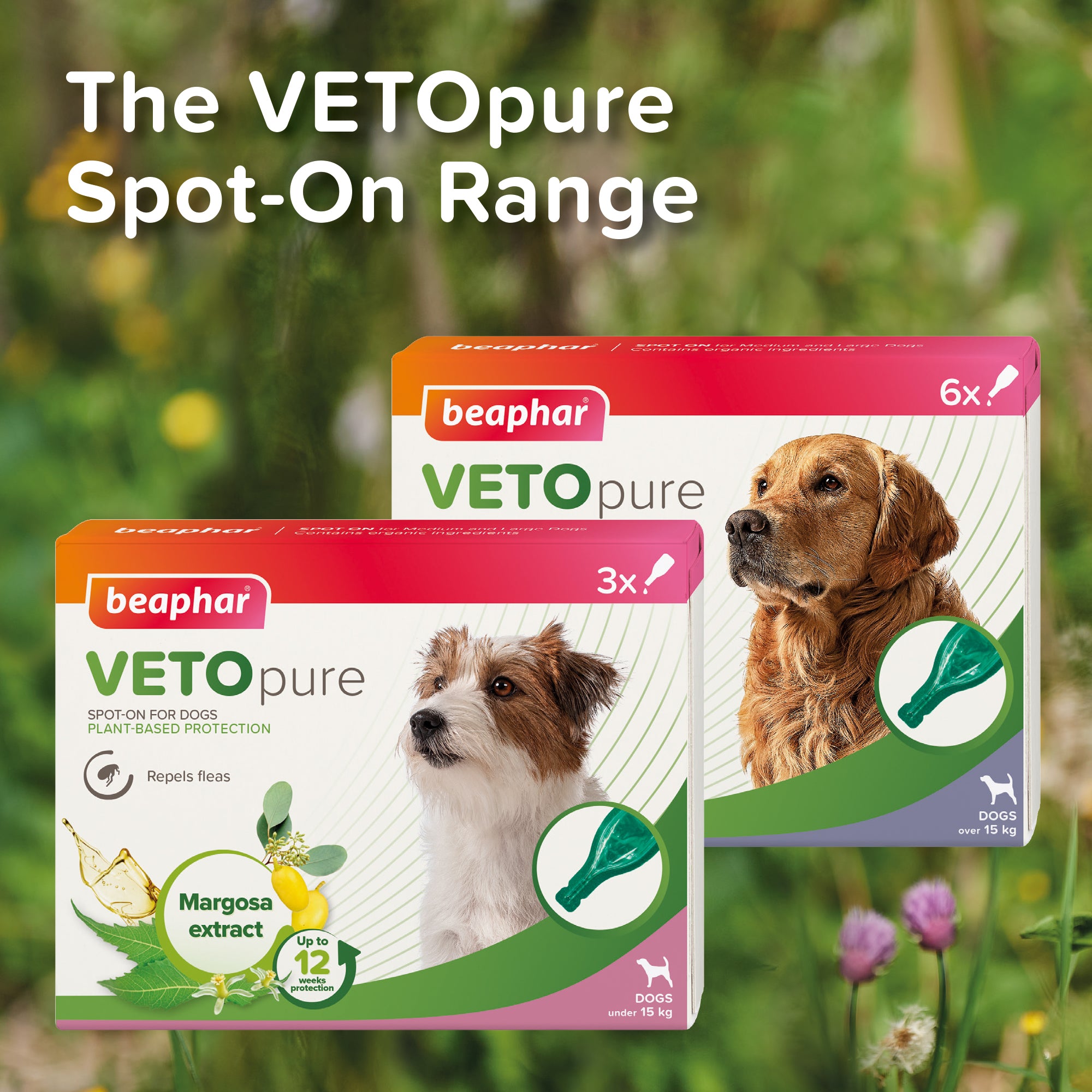 Beaphar VETOpure Spot-On for Small Dogs – Natural Flea & Tick Protection range