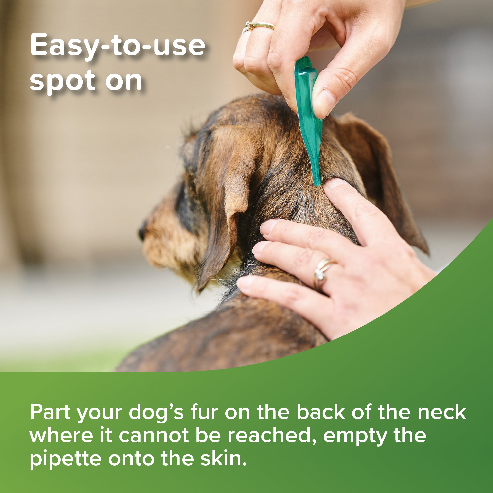 Beaphar VETOpure Spot-On for Small Dogs – Natural Flea & Tick Protection usage