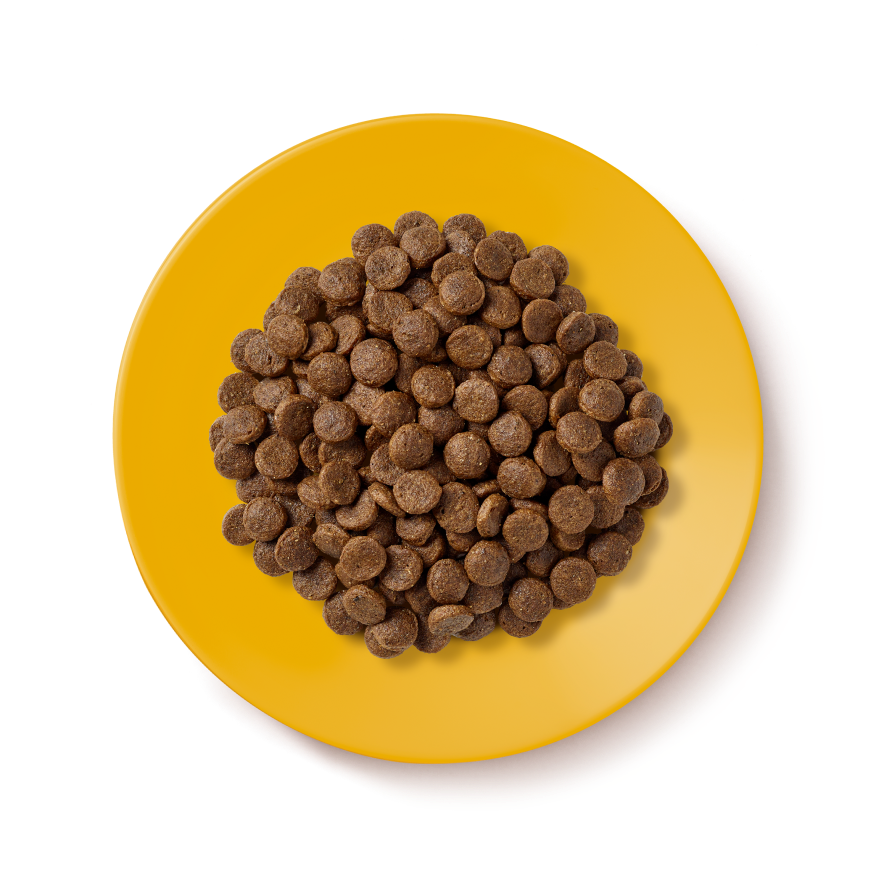 Applaws Chicken Senior Cat Dry Food