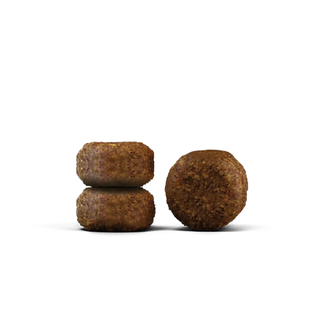 Josera Senior - 2kg